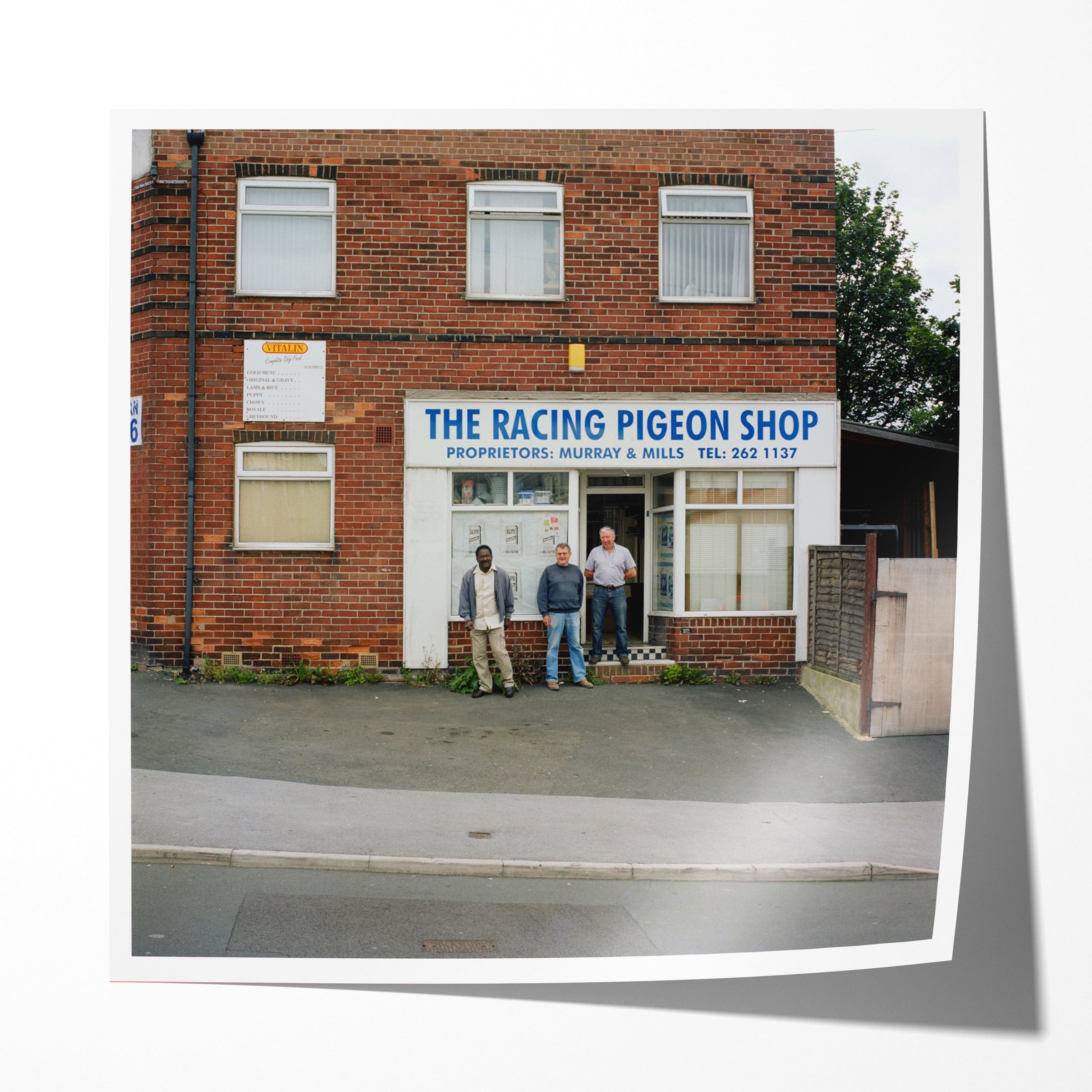 The Racing Pigeon Shop, Blake Grove, 2009