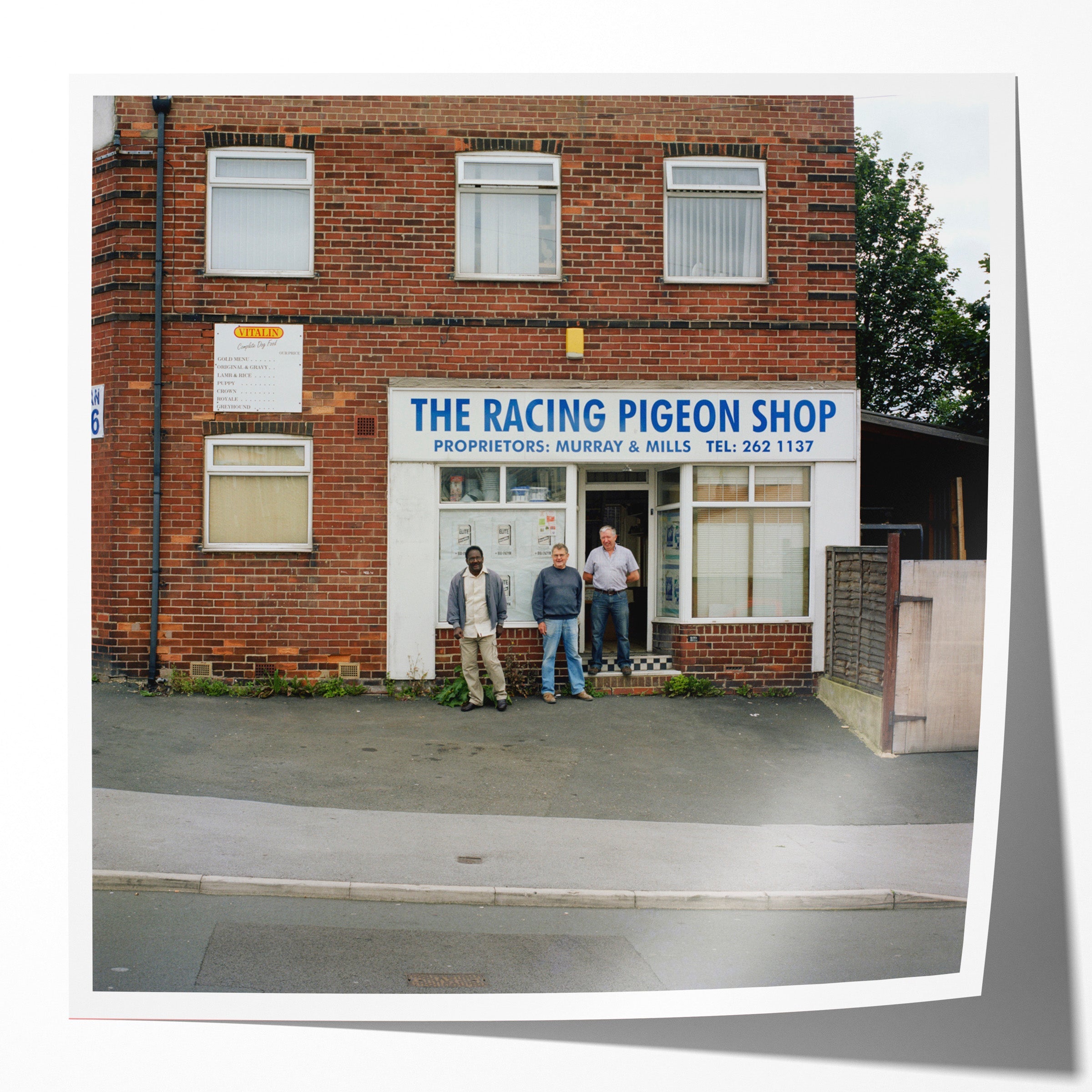 The Racing Pigeon Shop, Blake Grove, 2009