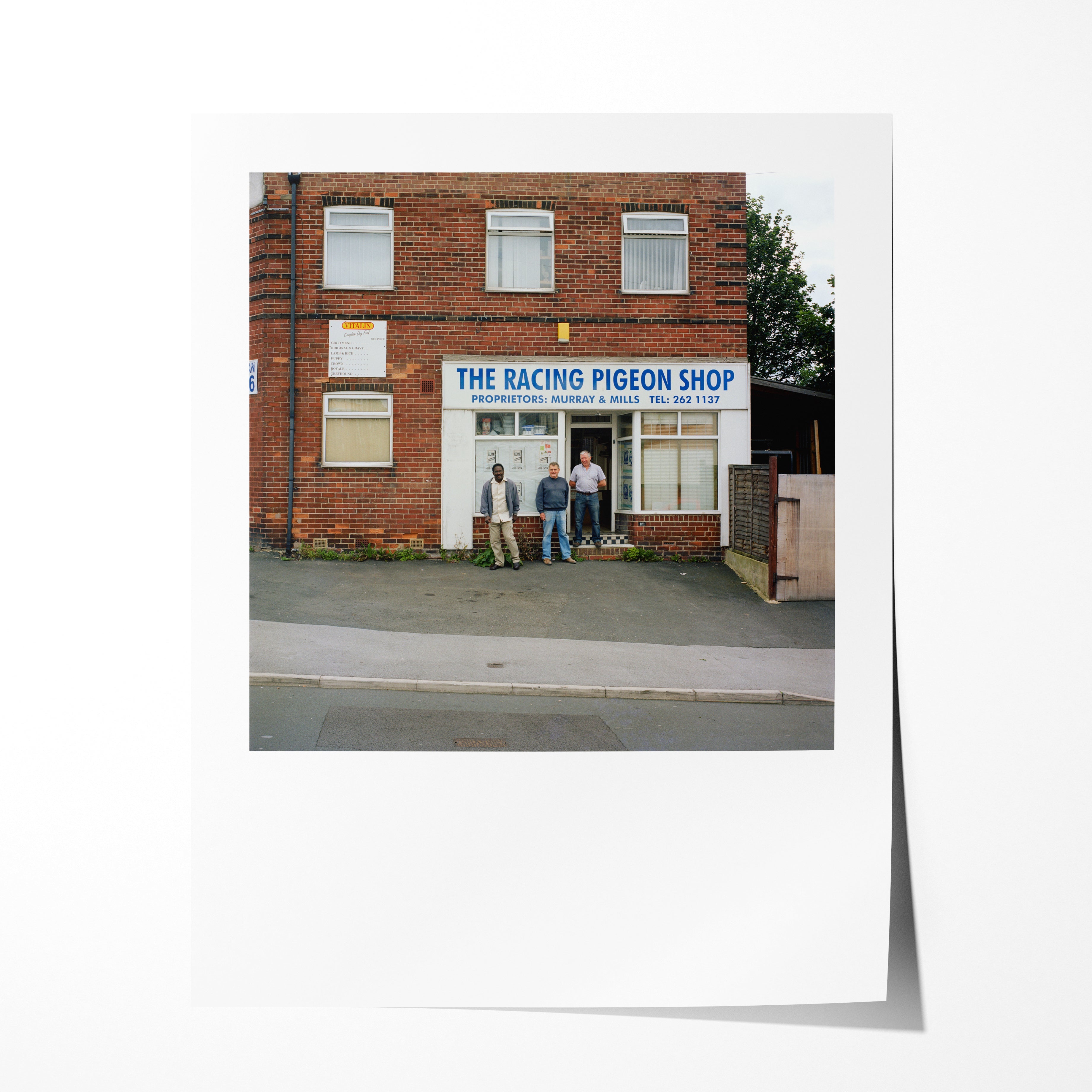 The Racing Pigeon Shop, Blake Grove, 2009