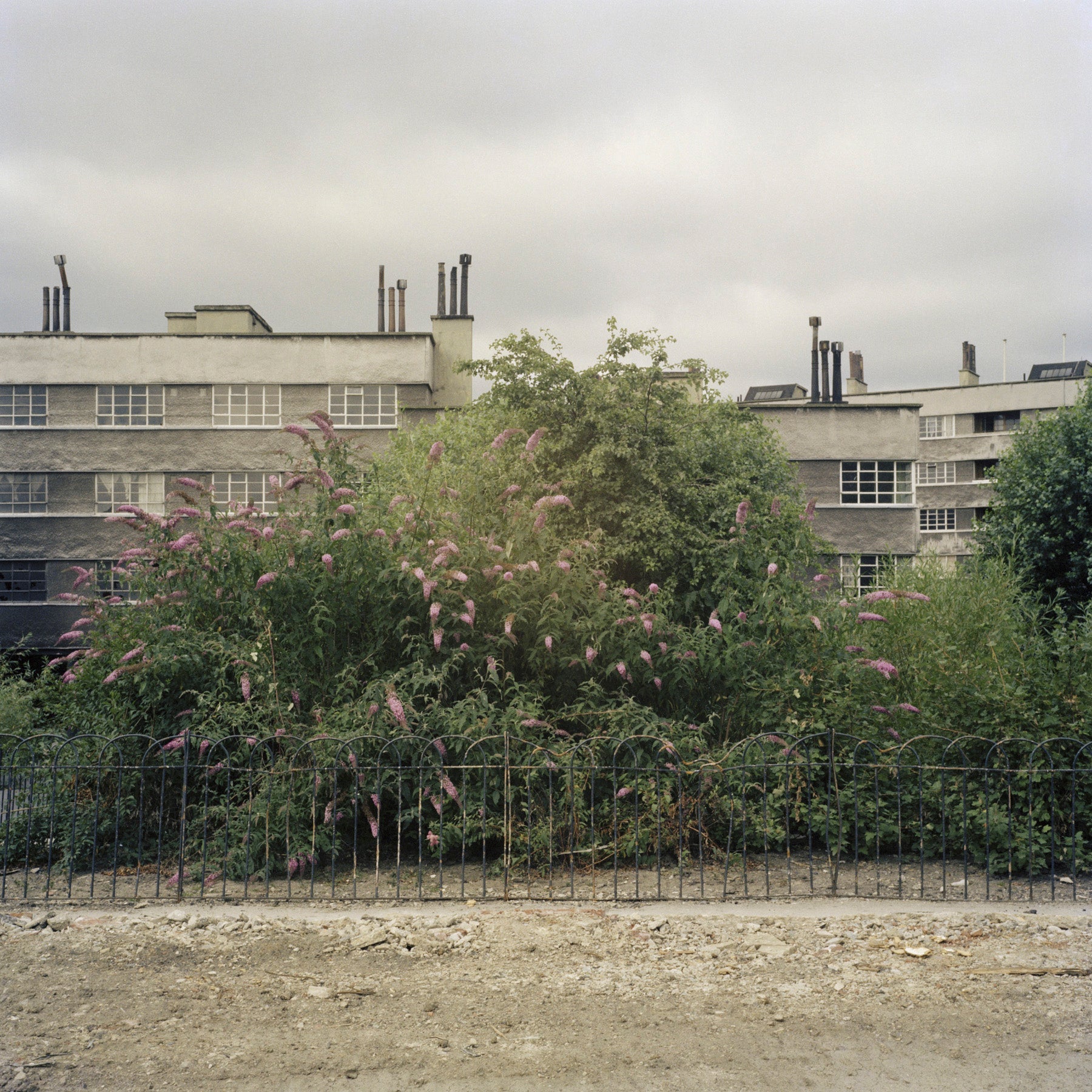 York House, Quarry Hill Flats, Leeds, 1978 - Reproduction Print