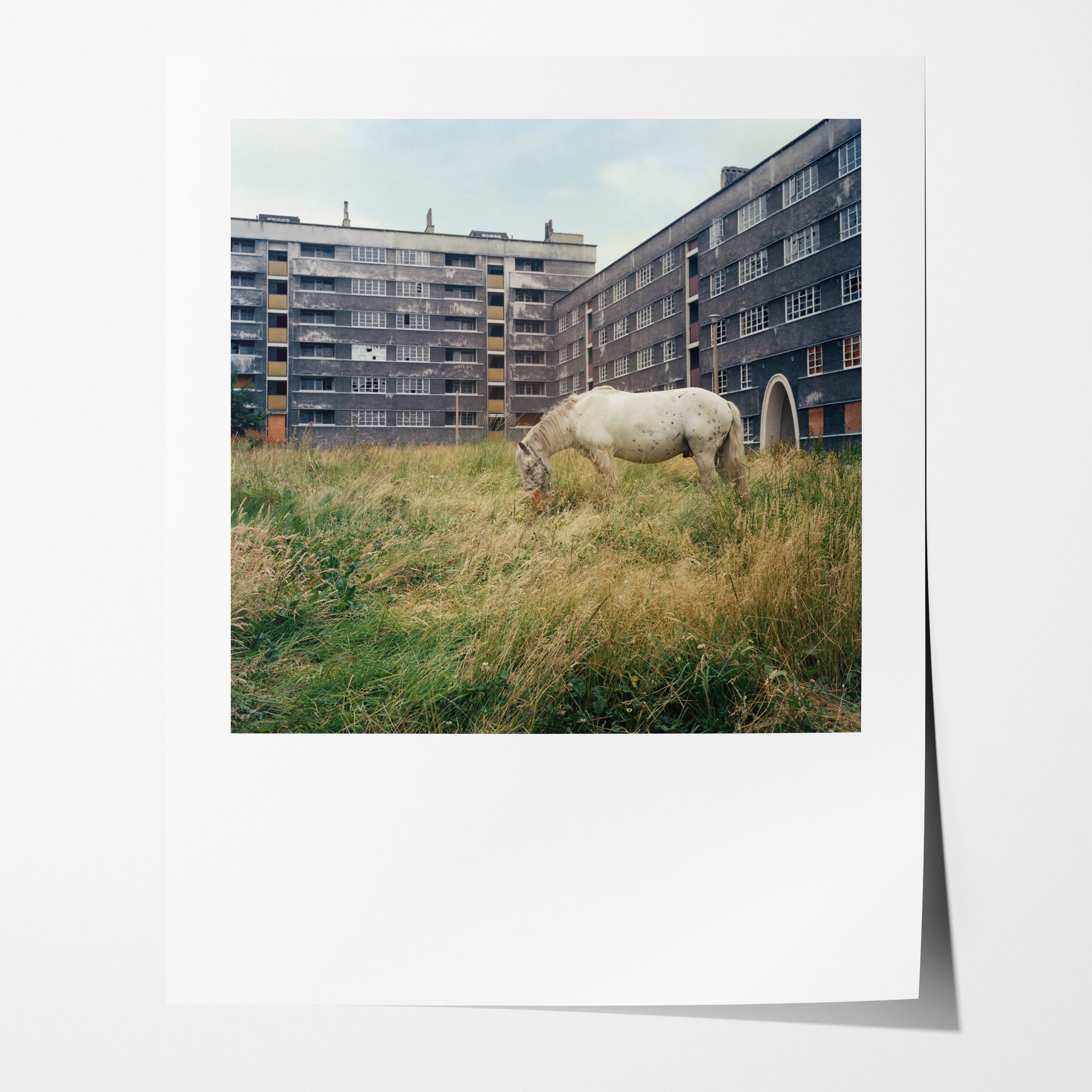 The Pony, Thoresby and Victoria Houses, Quarry Hill Flats, Leeds, 1978