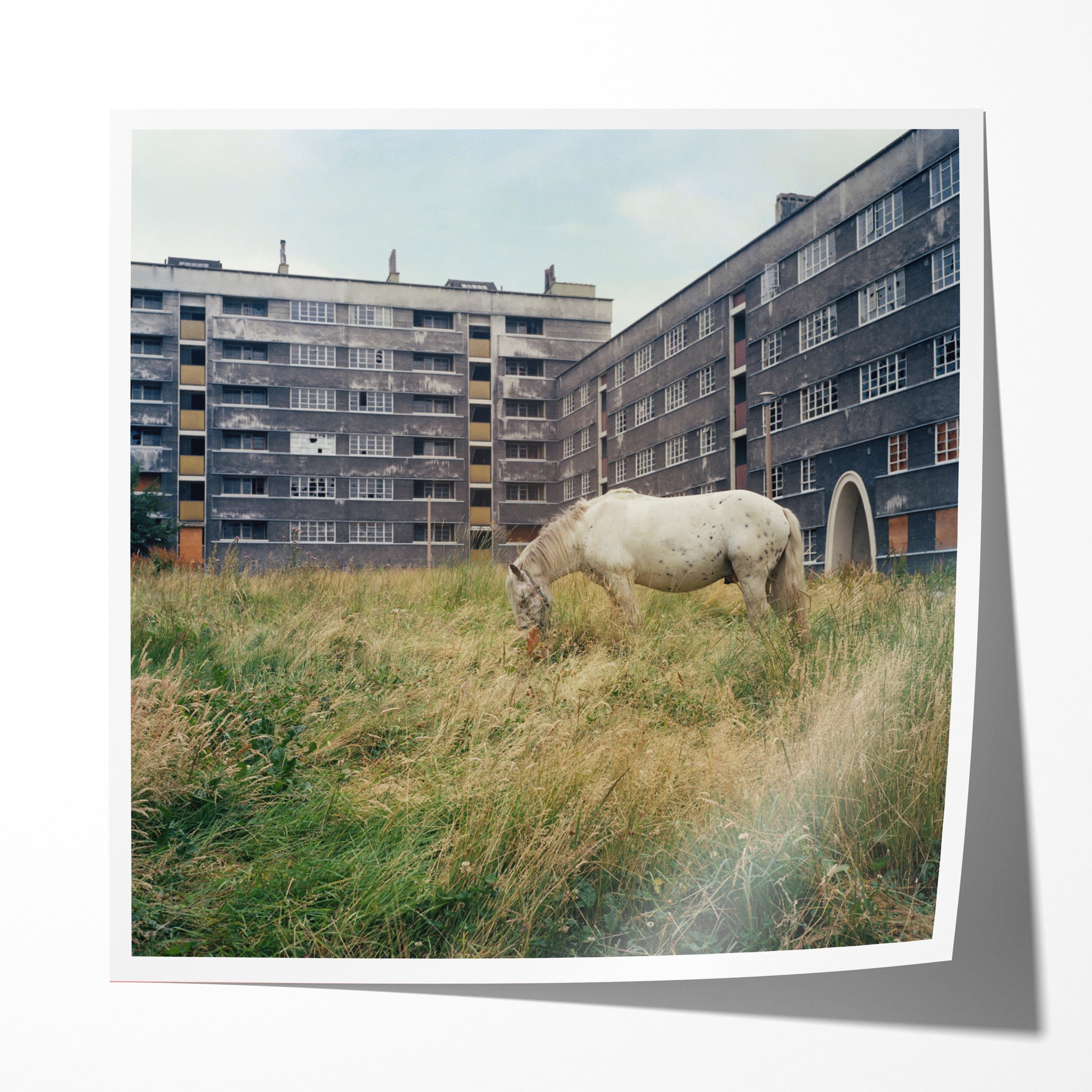 The Pony, Thoresby and Victoria Houses, Quarry Hill Flats, Leeds, 1978