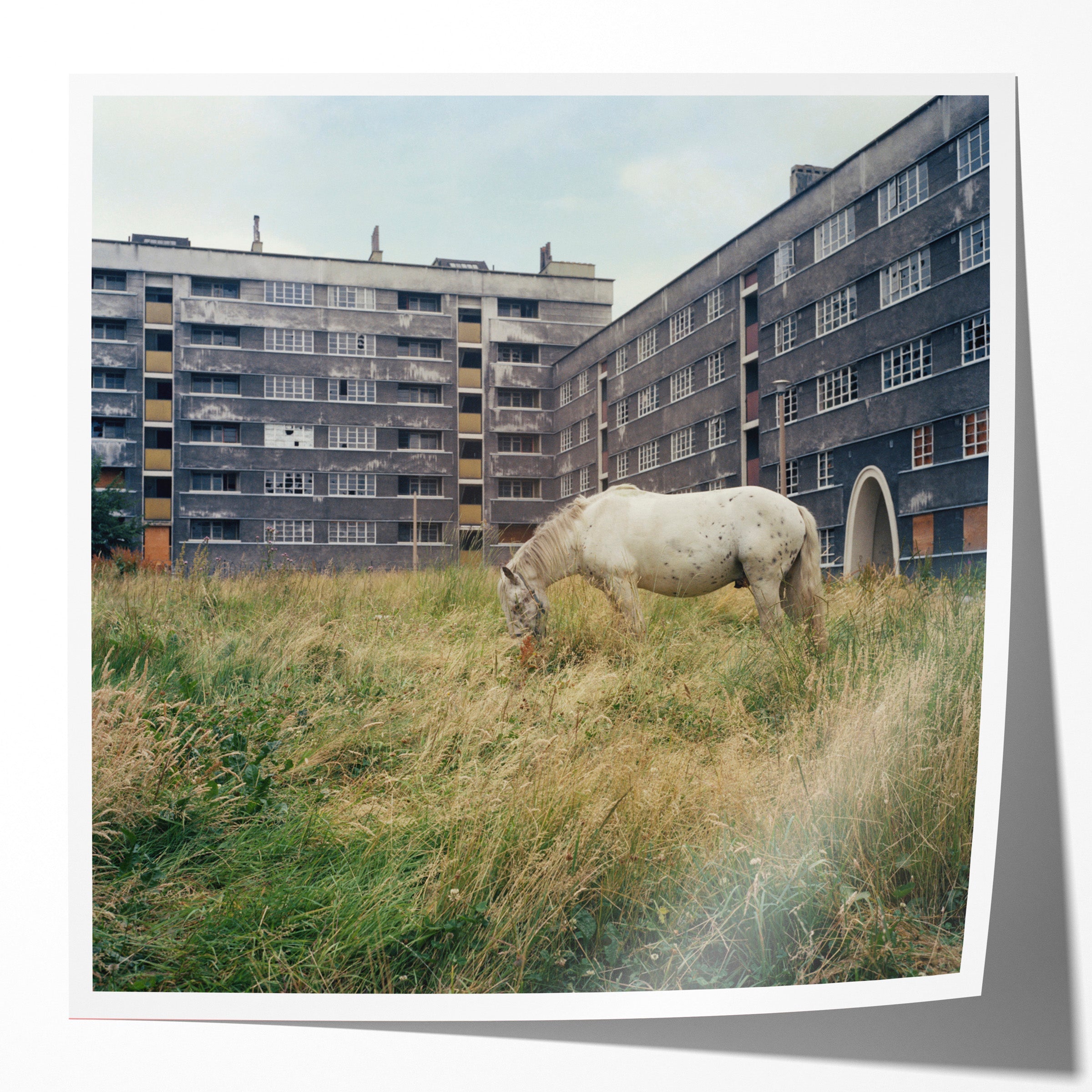 The Pony, Thoresby and Victoria Houses, Quarry Hill Flats, Leeds, 1978