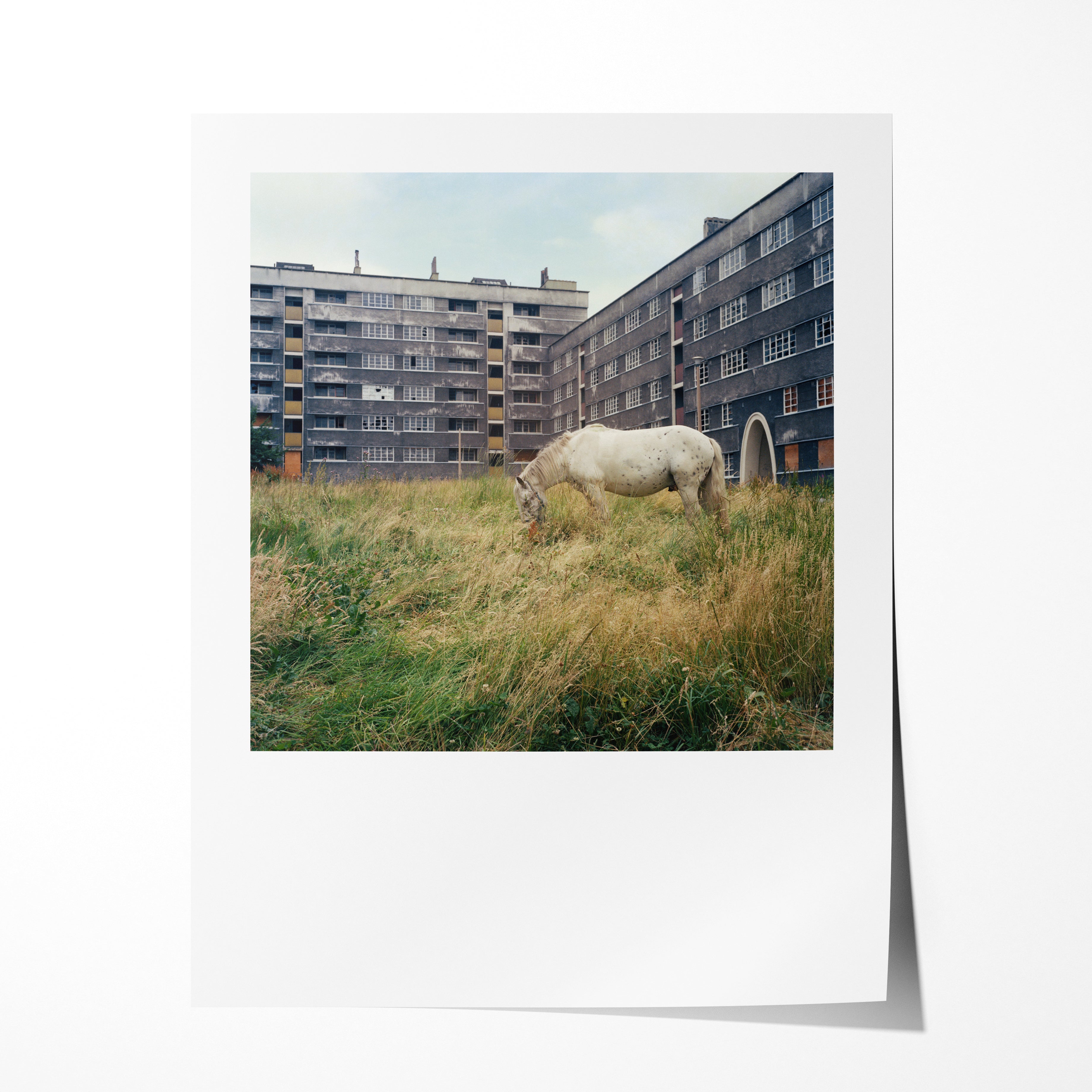 The Pony, Thoresby and Victoria Houses, Quarry Hill Flats, Leeds, 1978