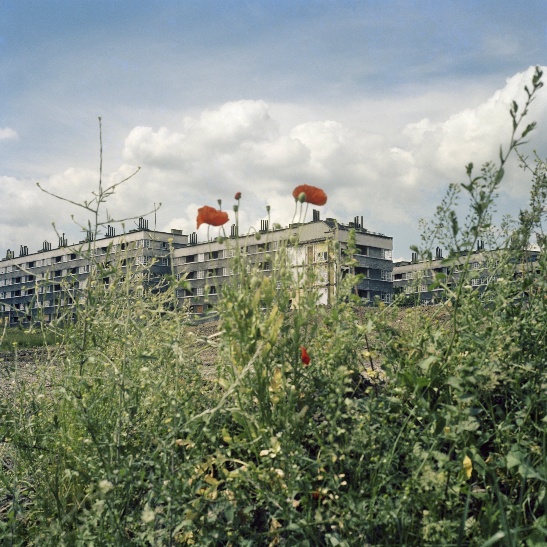 York and Moynihan Houses, Quarry Hill Flats, Leeds, 1978 - 7x9" Print