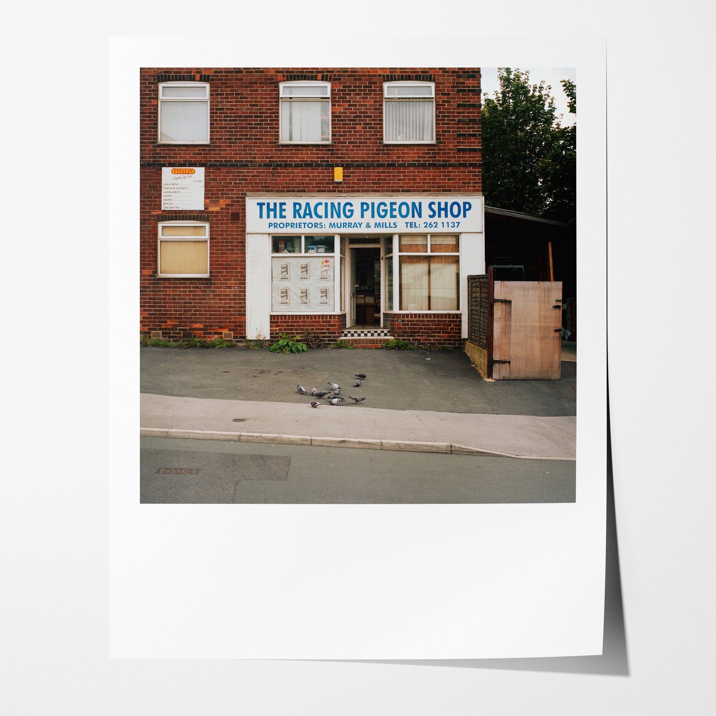 Racing Pigeon Shop (ii), Blake Grove, Leeds, Summer 2009