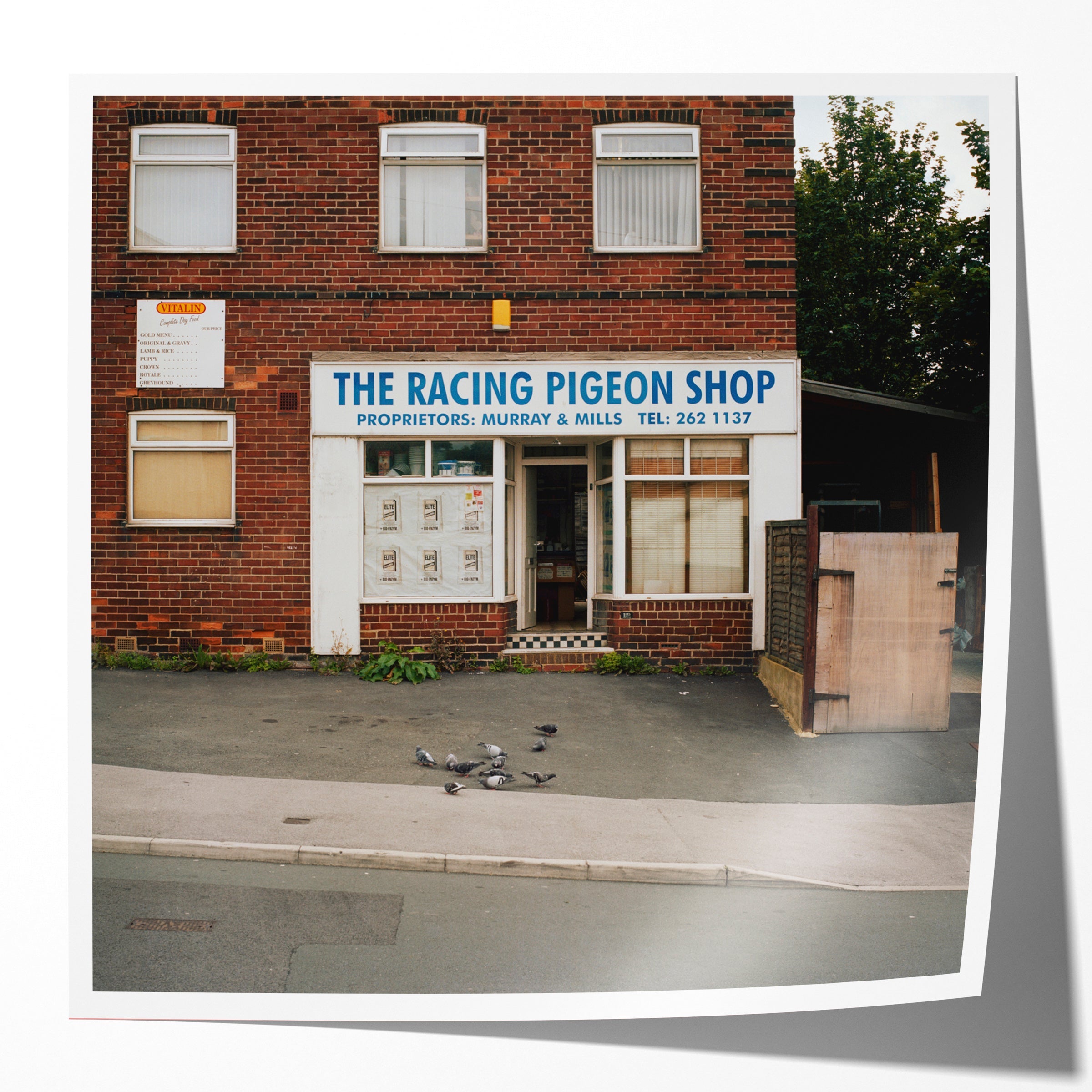 Racing Pigeon Shop (ii), Blake Grove, Leeds, Summer 2009