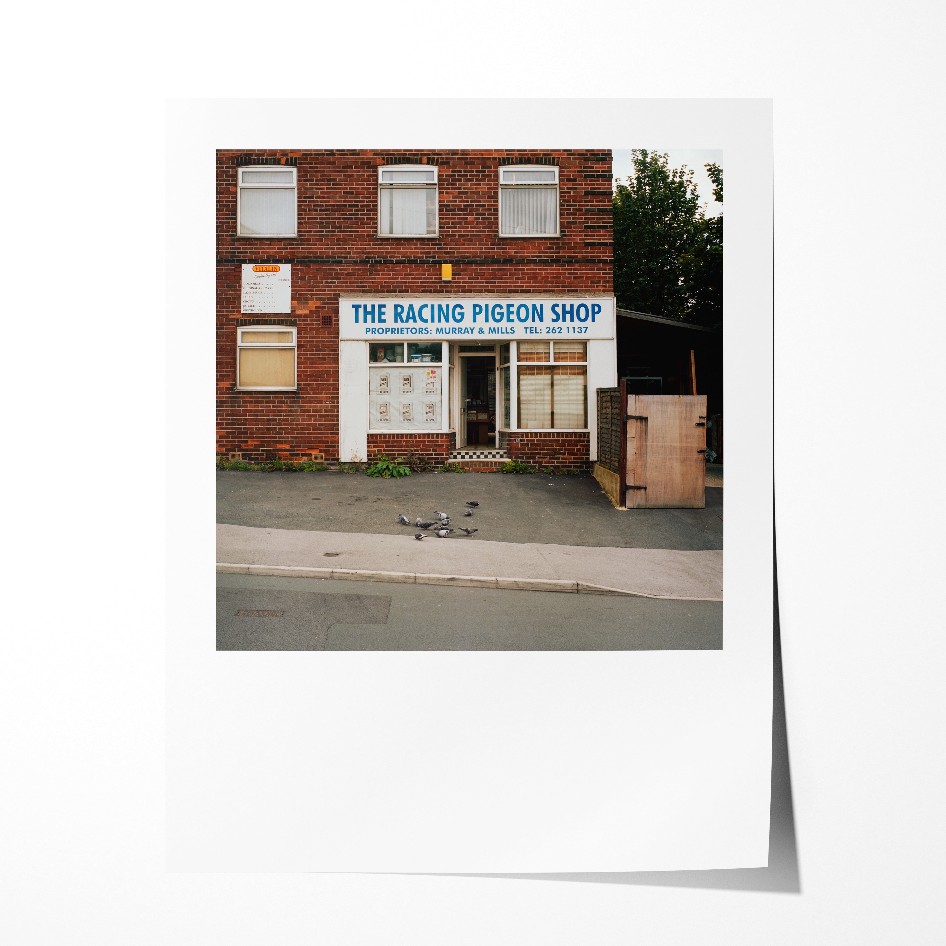 Racing Pigeon Shop (ii), Blake Grove, Leeds, Summer 2009