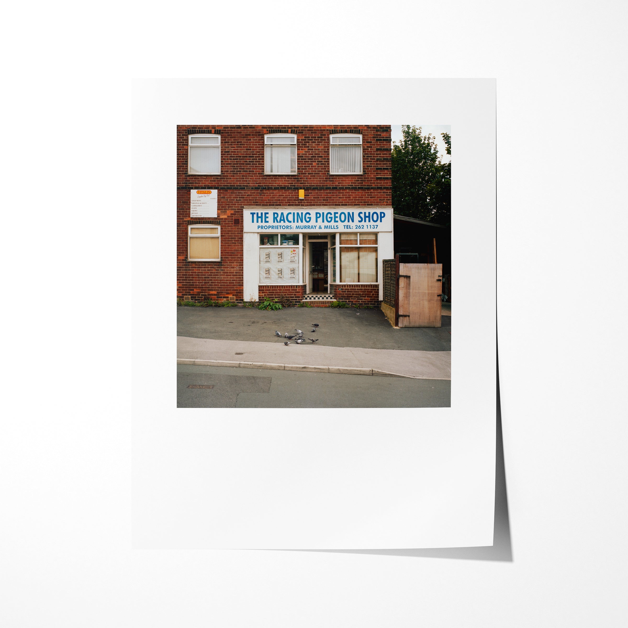 Racing Pigeon Shop (ii), Blake Grove, Leeds, Summer 2009