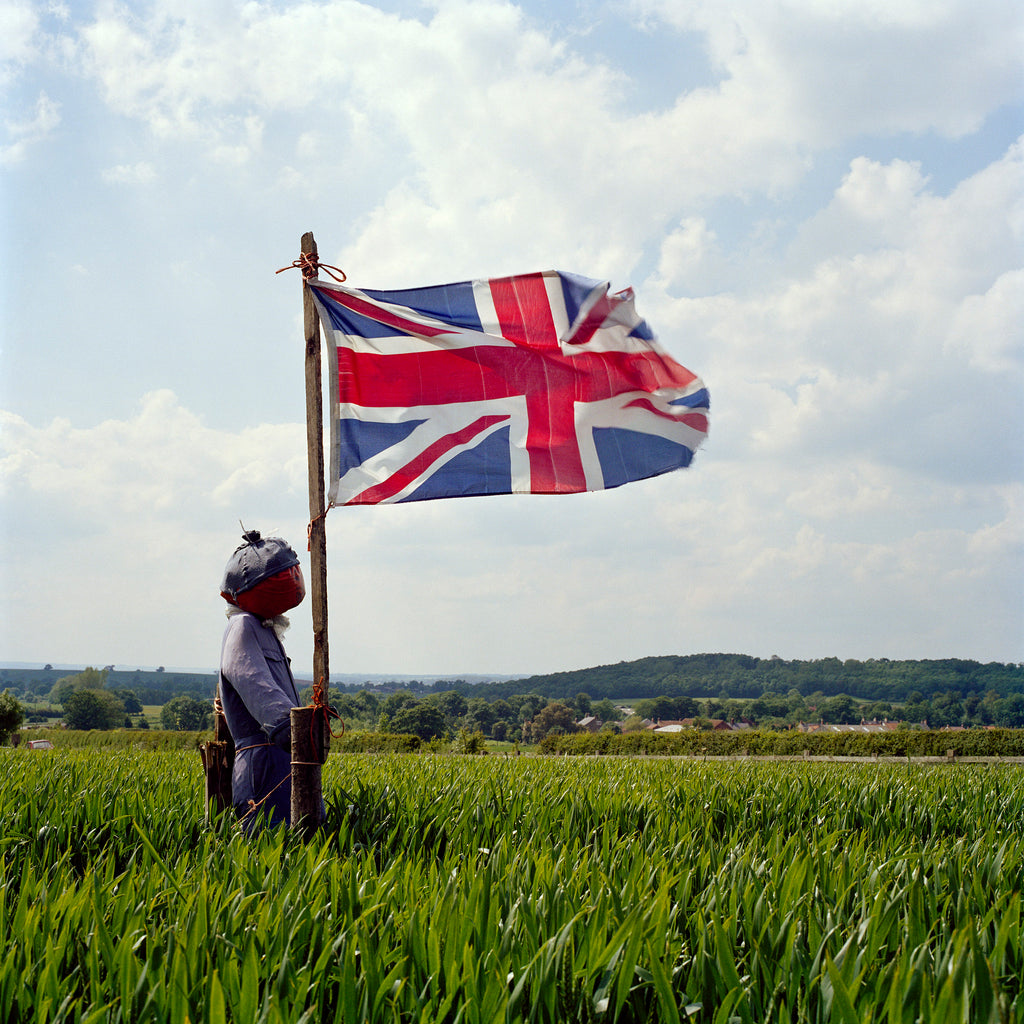 Scarecrows 1974-2015