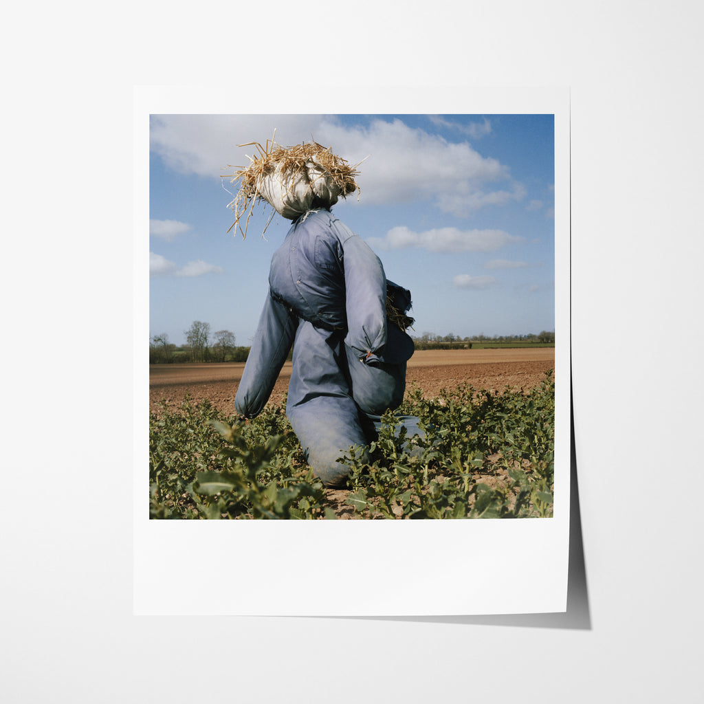 Scarecrow 20 - 10x12" Pigment Print