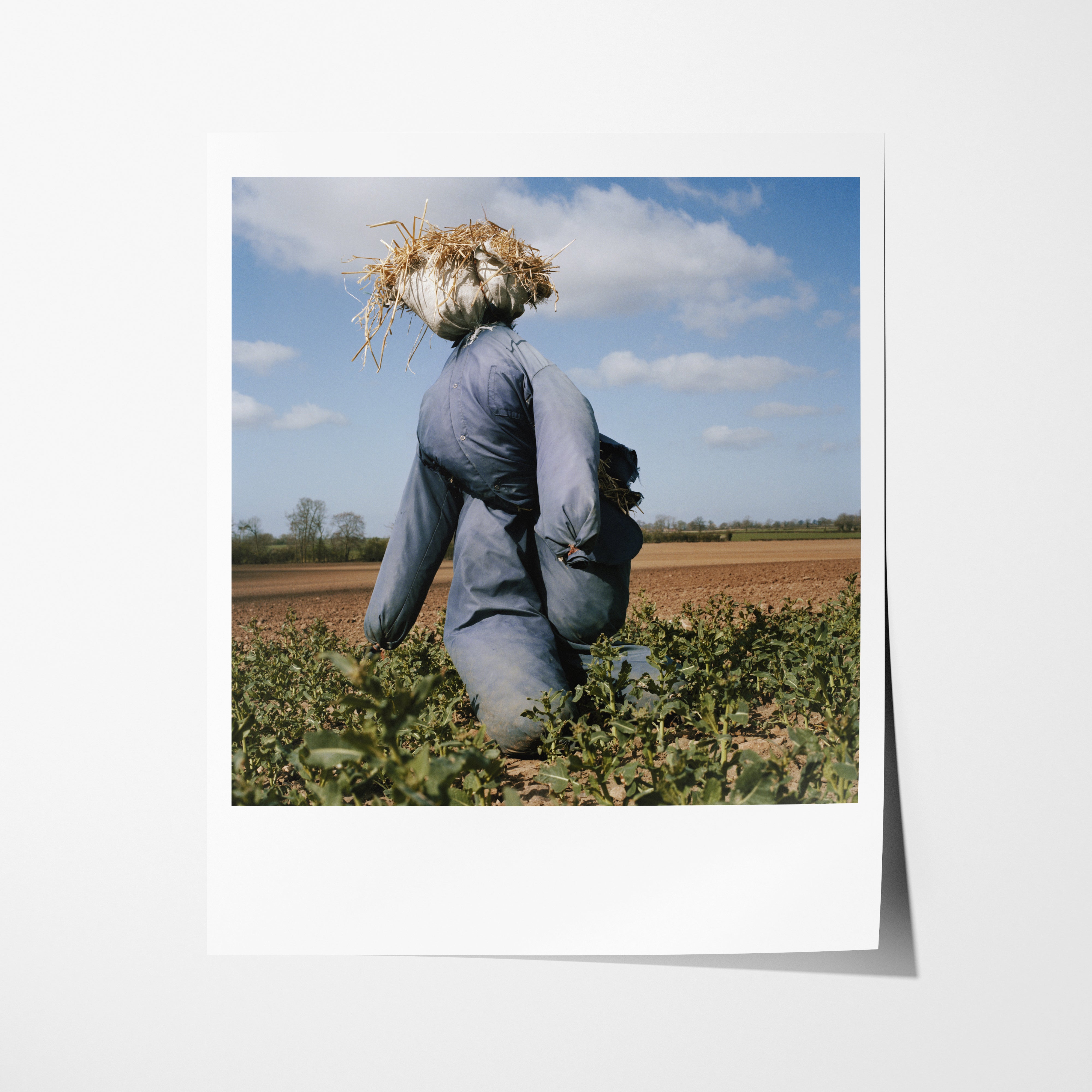 Scarecrow 20 - 10x12" Pigment Print