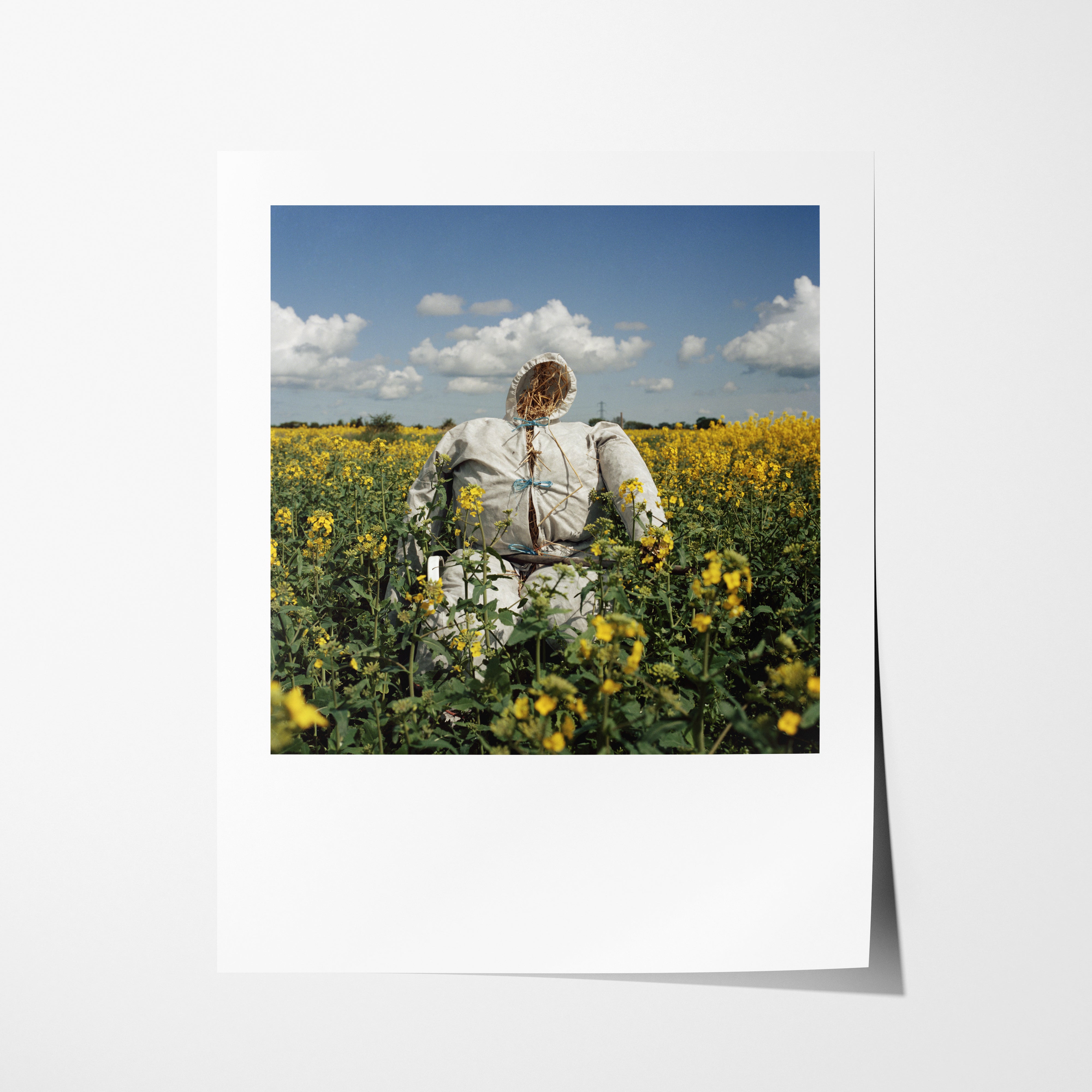 Scarecrow 27 - 16x20" Pigment Print