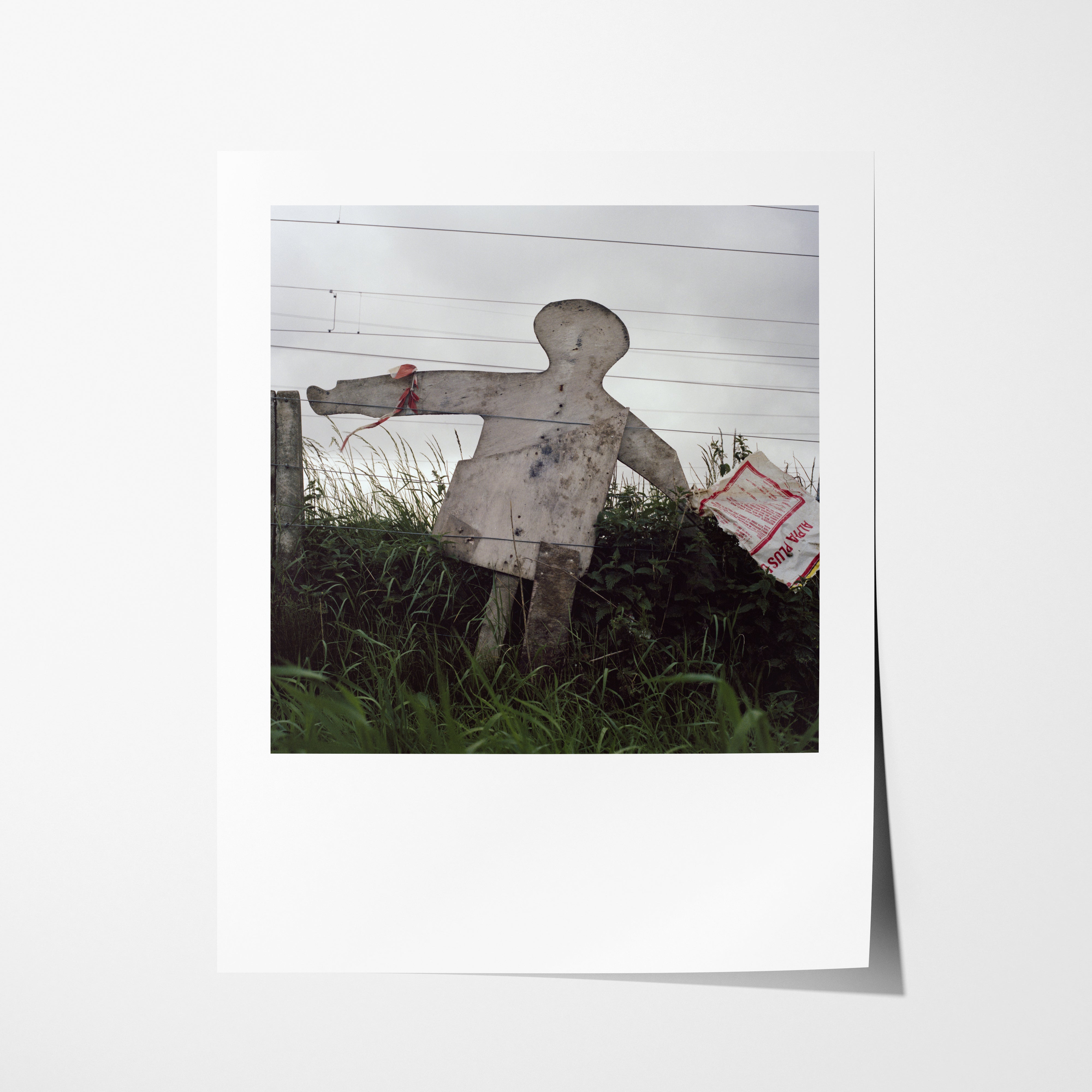 Scarecrow 39 - 16x20" Pigment Print
